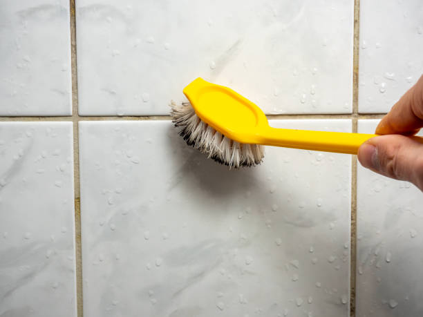 Best Localized Mold Remediation (e.g., coastal areas, humid climates) in Imlay City, MI