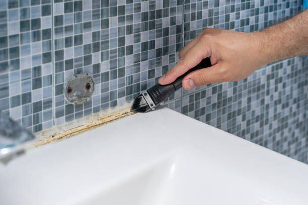 Best Post-Flood Mold Remediation in Imlay City, MI